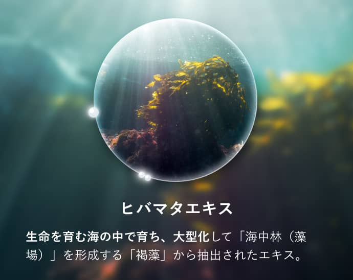 ヒバマタエキス 生命を育む海の中で育ち、大型化して「海中林(藻場)」を形成する「褐藻」から抽出されたエキス。