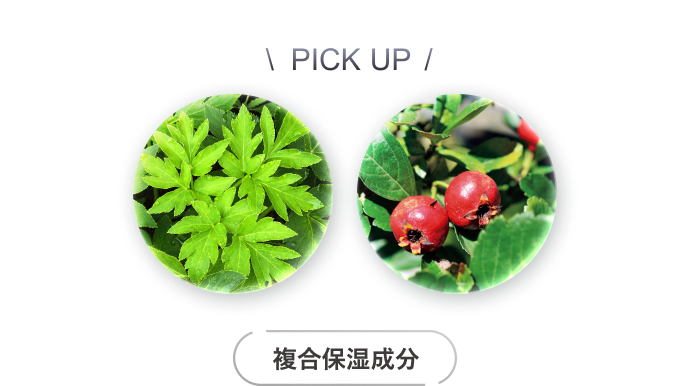 PICKUP 複合保湿成分