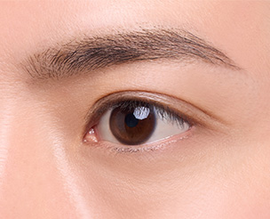 アイブロウのみに使用