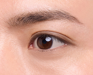 アイブロウ・アイシャドウに使用