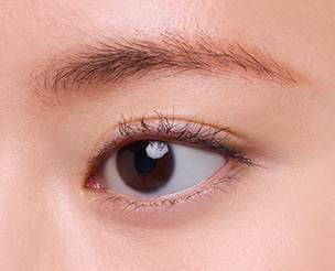 アイブロウのみに使用