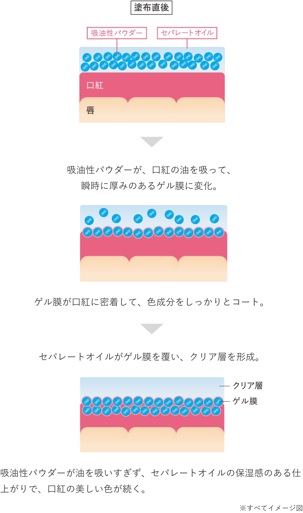 lip_lasting_coat_zuhan