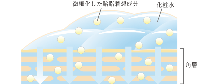 全面浸透技術ありの肌