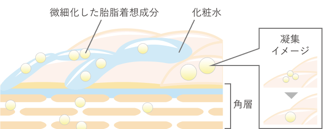 全面浸透技術なしの肌