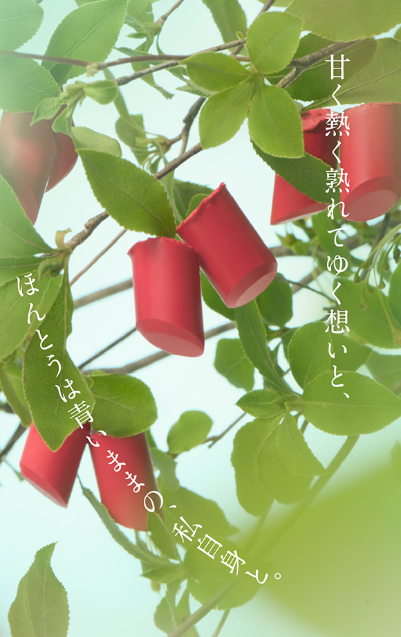 ROUGE STAR BREATHE EX5 Tropical Orchard