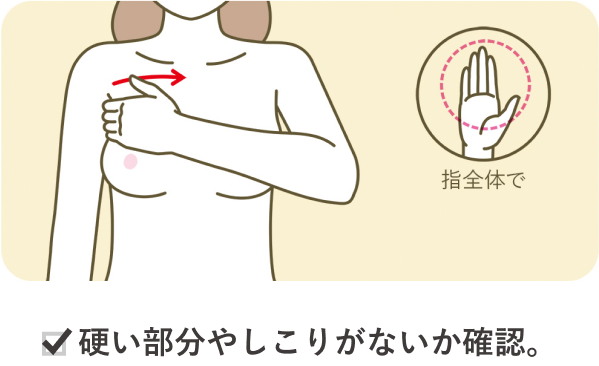 硬い部分やしこりがないか確認。