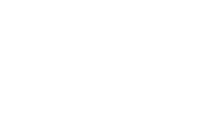 MEET ROUGE STAR 「今日のあなたはどっちの気分?」その日のなりたい自分で決める ふたつの生命感ルージュ