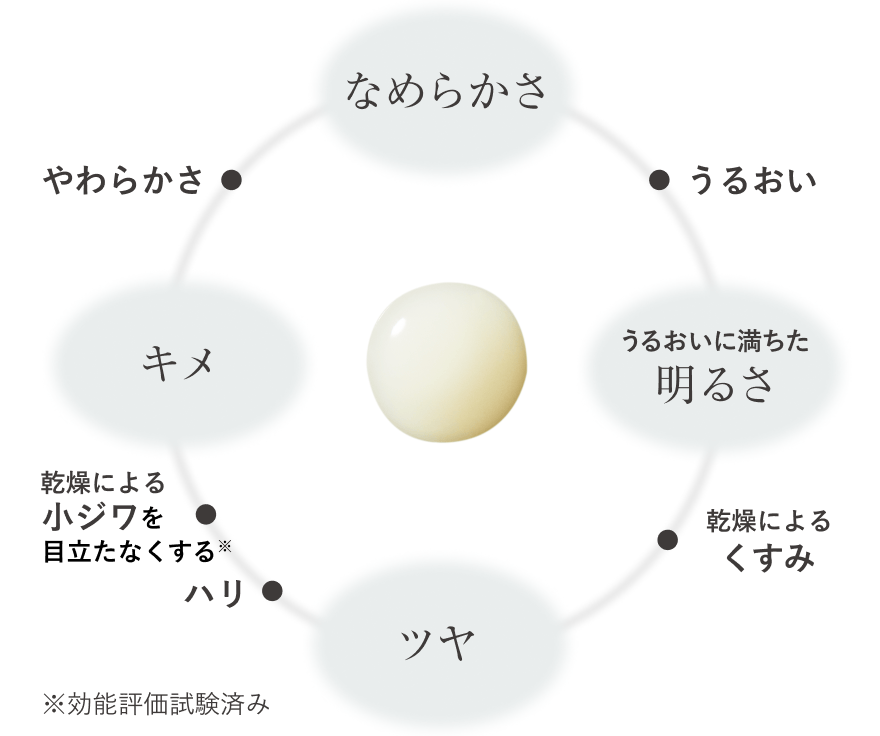 なめらかさ うるおい うるおいに満ちた明るさ 乾燥によるくすみ ツヤ ハリ 乾燥による小ジワを目立たなくする※ キメ やわらかさ