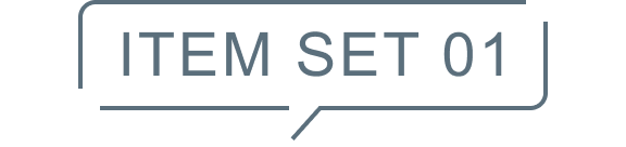 ITEM SET 01