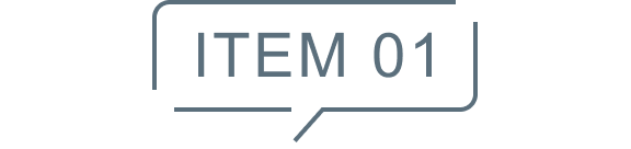 ITEM01