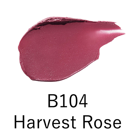 B104 Harvest Rose