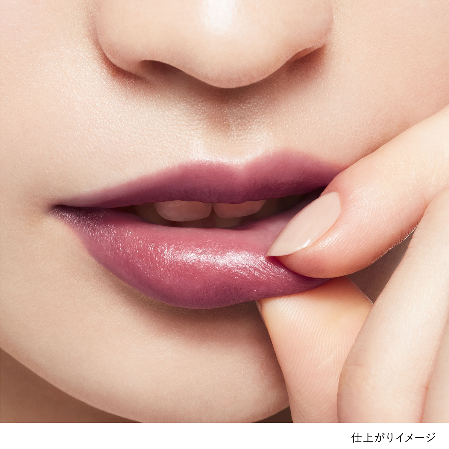 ルージュスターブリーズ EX6 詳細画像 5枚中2枚目