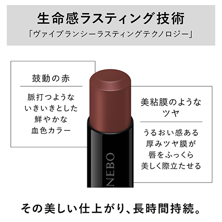 ルージュスターヴァイブラント EX13 詳細画像 5枚中4枚目