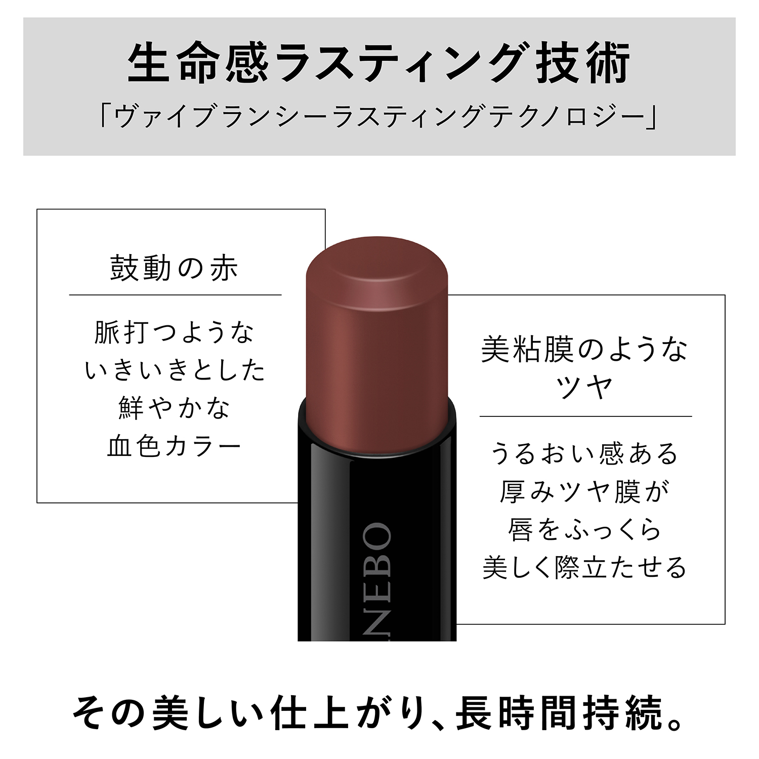 ルージュスターヴァイブラント EX13 詳細画像 5枚中4枚目