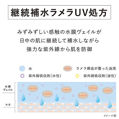 ヴェイル　オブ　デイ　定期お届け便 詳細画像 7枚中3枚目