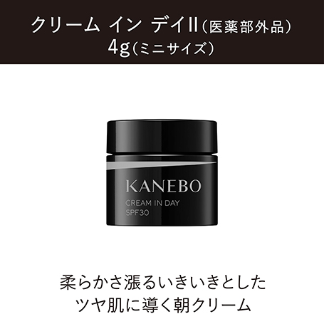 スキン ハーモナイザー キットa 詳細画像 5枚中3枚目