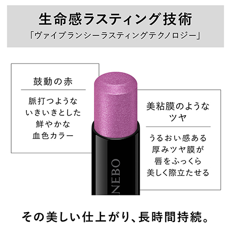 ルージュスターヴァイブラント EX15 詳細画像 5枚中4枚目