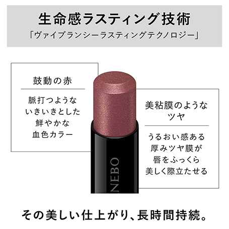 ルージュスターヴァイブラント EX16 詳細画像 5枚中4枚目