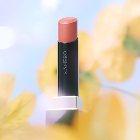 ルージュスターブリーズ EX7 詳細画像 5枚中3枚目