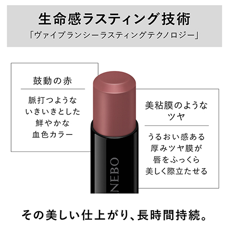 ルージュスターヴァイブラント V16 詳細画像 5枚中4枚目