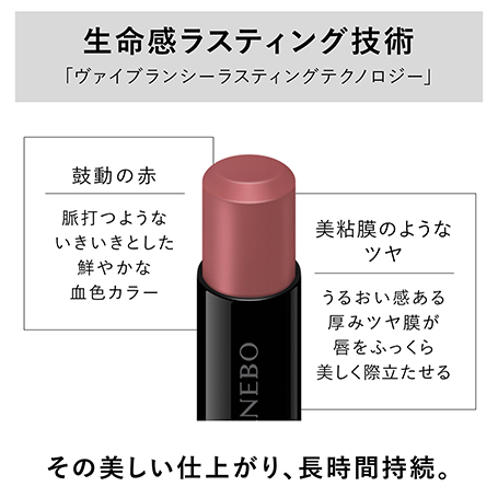 ルージュスターヴァイブラント V17 詳細画像 5枚中4枚目