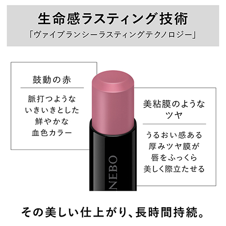 ルージュスターヴァイブラント EX14 詳細画像 5枚中4枚目