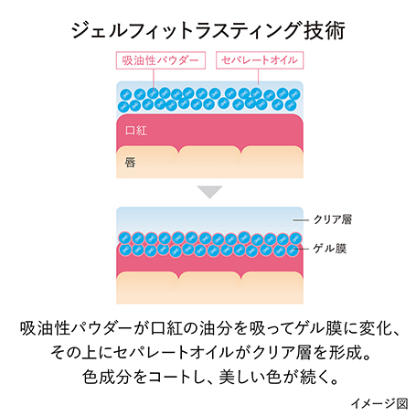 リップラスティングコート　LC1 詳細画像 5枚中4枚目