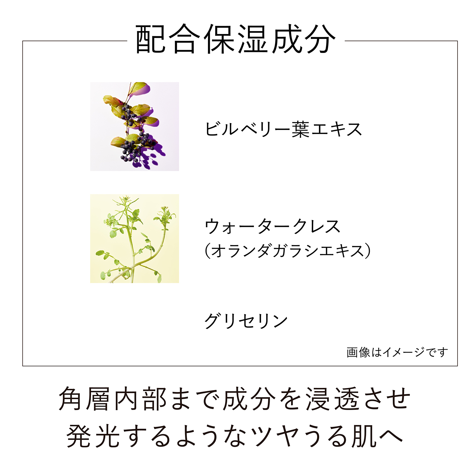 オン スキン エッセンス F(レフィル) 詳細画像 5枚中3枚目
