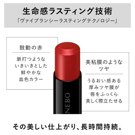 ルージュスターヴァイブラント EX18 詳細画像 5枚中4枚目