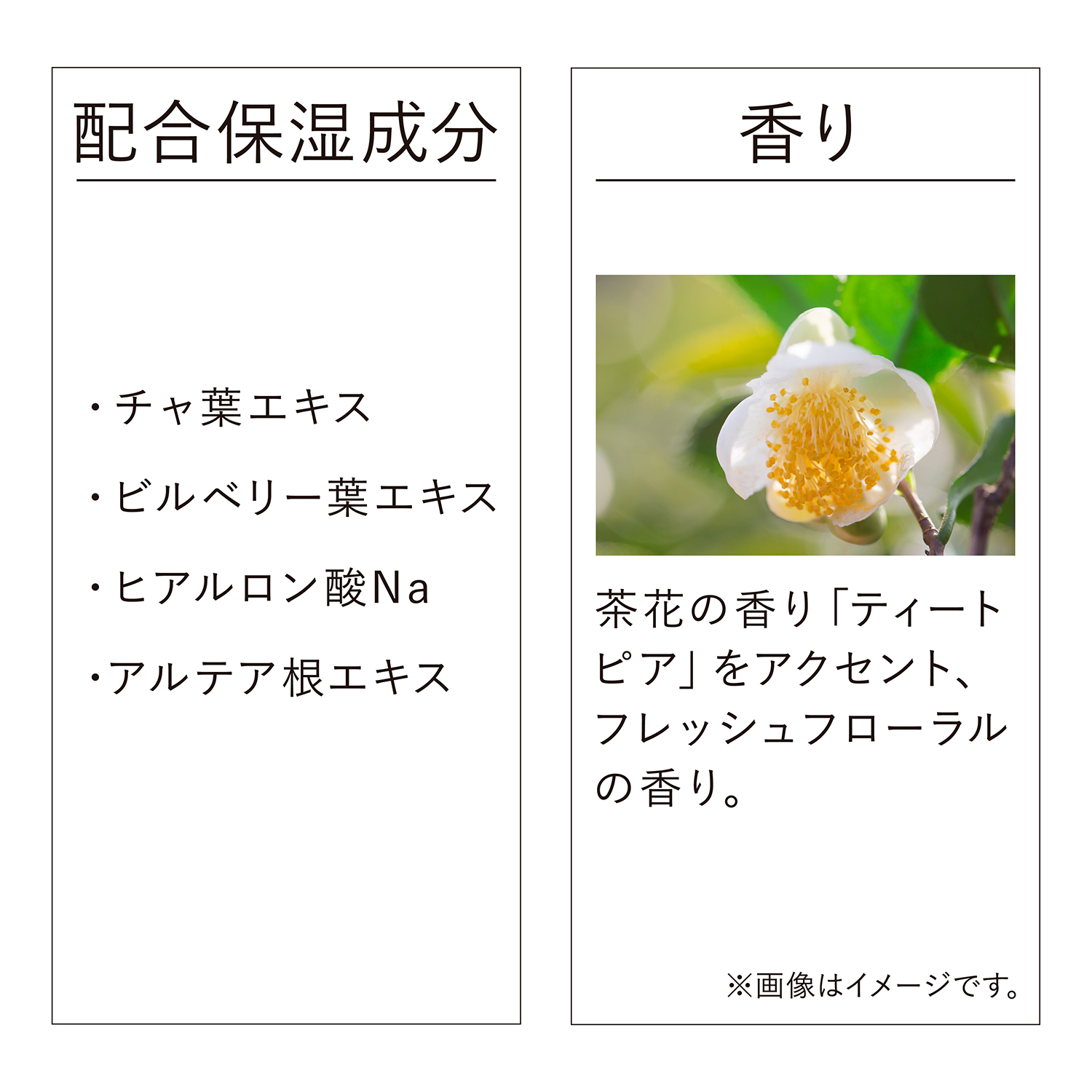 ヴェイル オブ デイ リミテッド サイズ 詳細画像 7枚中5枚目