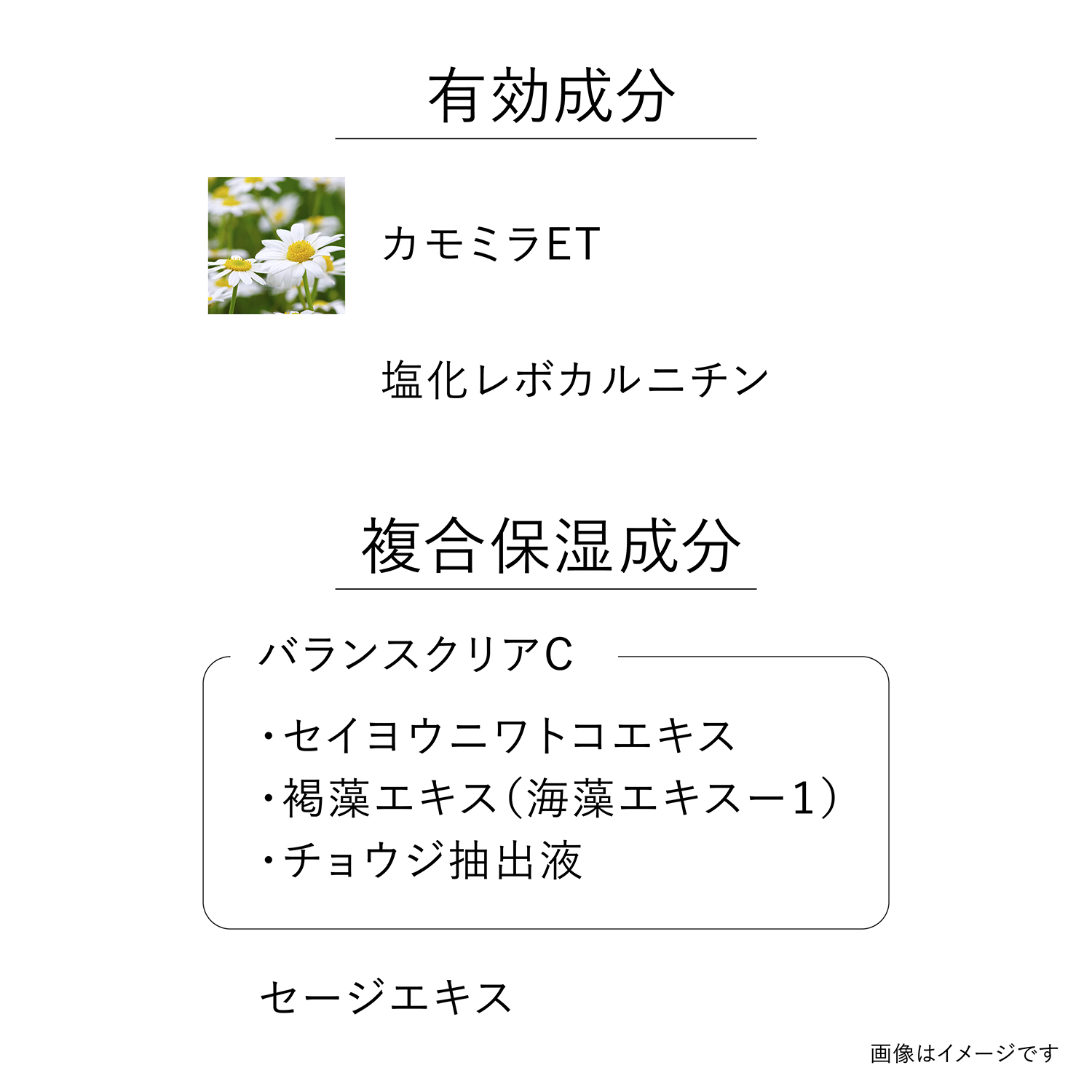イルミネイティング セラムa(レフィル)(医薬部外品) 詳細画像 7枚中2枚目