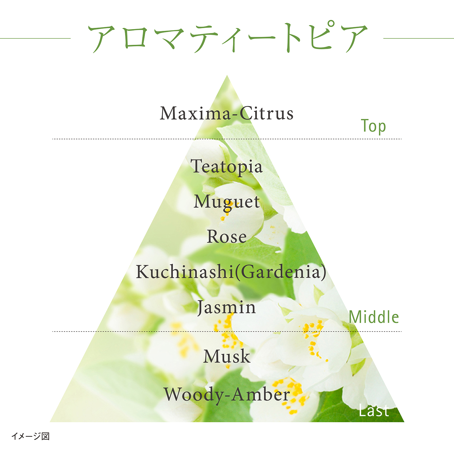 モイスチャー フロウ ローション 詳細画像 7枚中4枚目