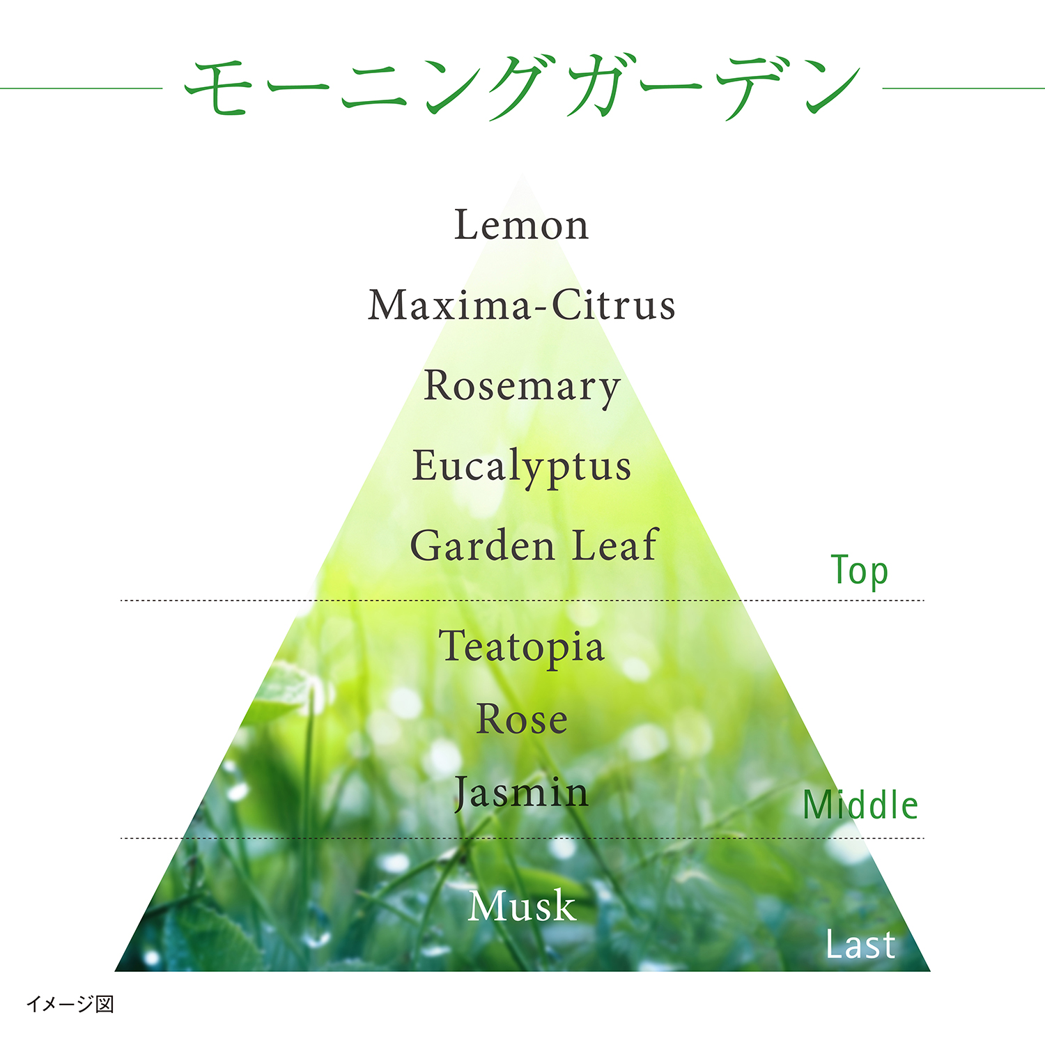 フレッシュ デイ クリーム 詳細画像 7枚中4枚目