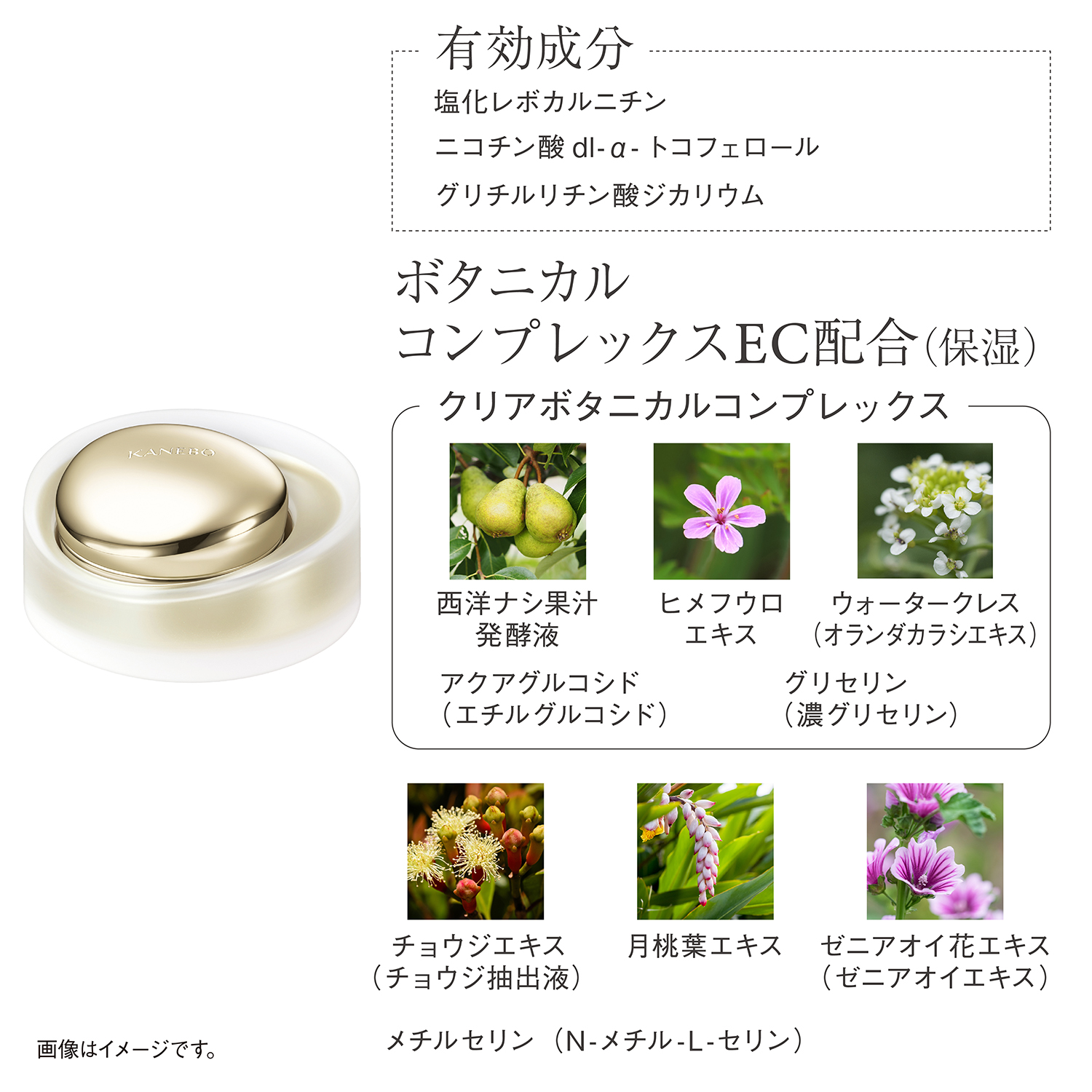 ザ クリーム(医薬部外品) 詳細画像 8枚中4枚目