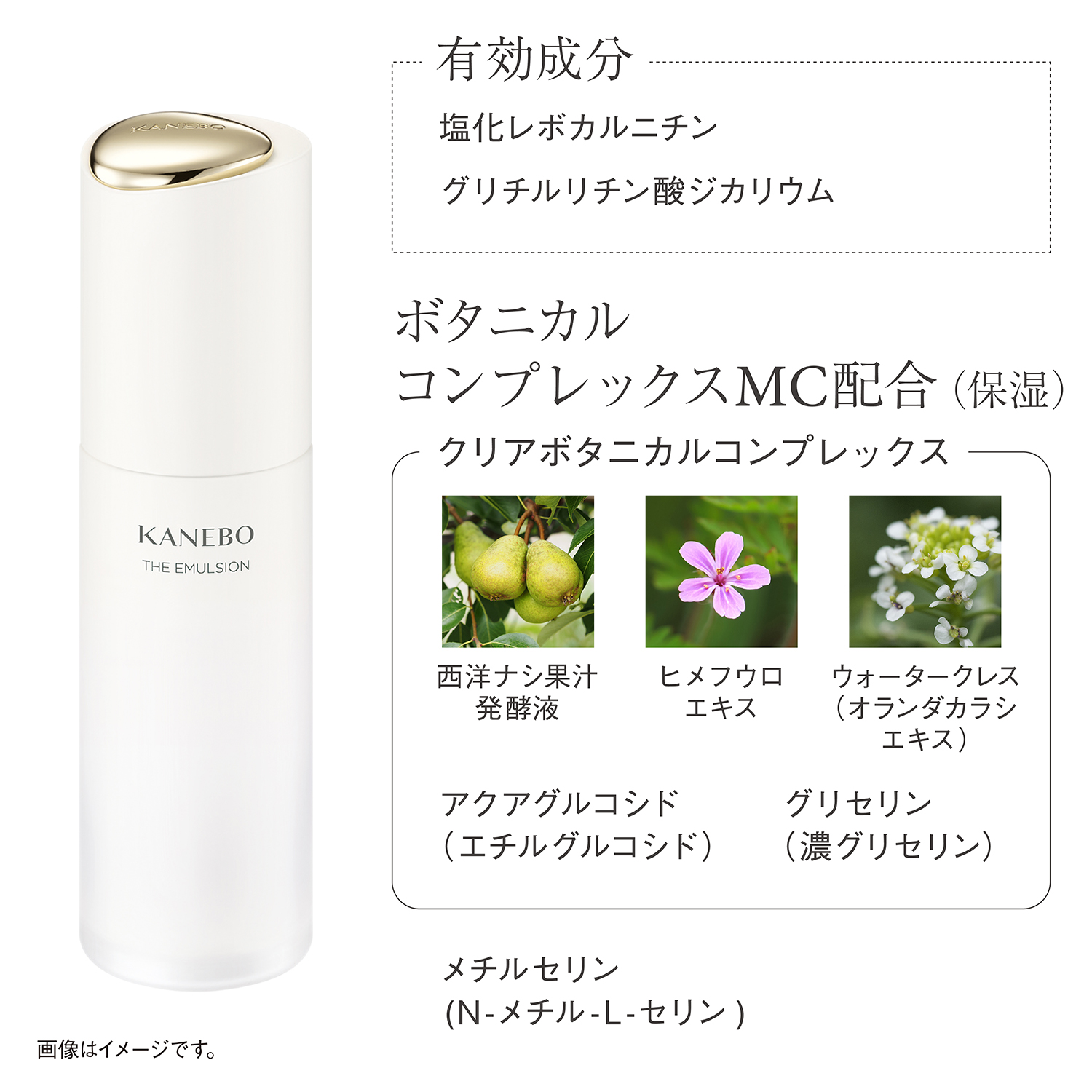 ザ エマルジョン(医薬部外品) 詳細画像 8枚中4枚目