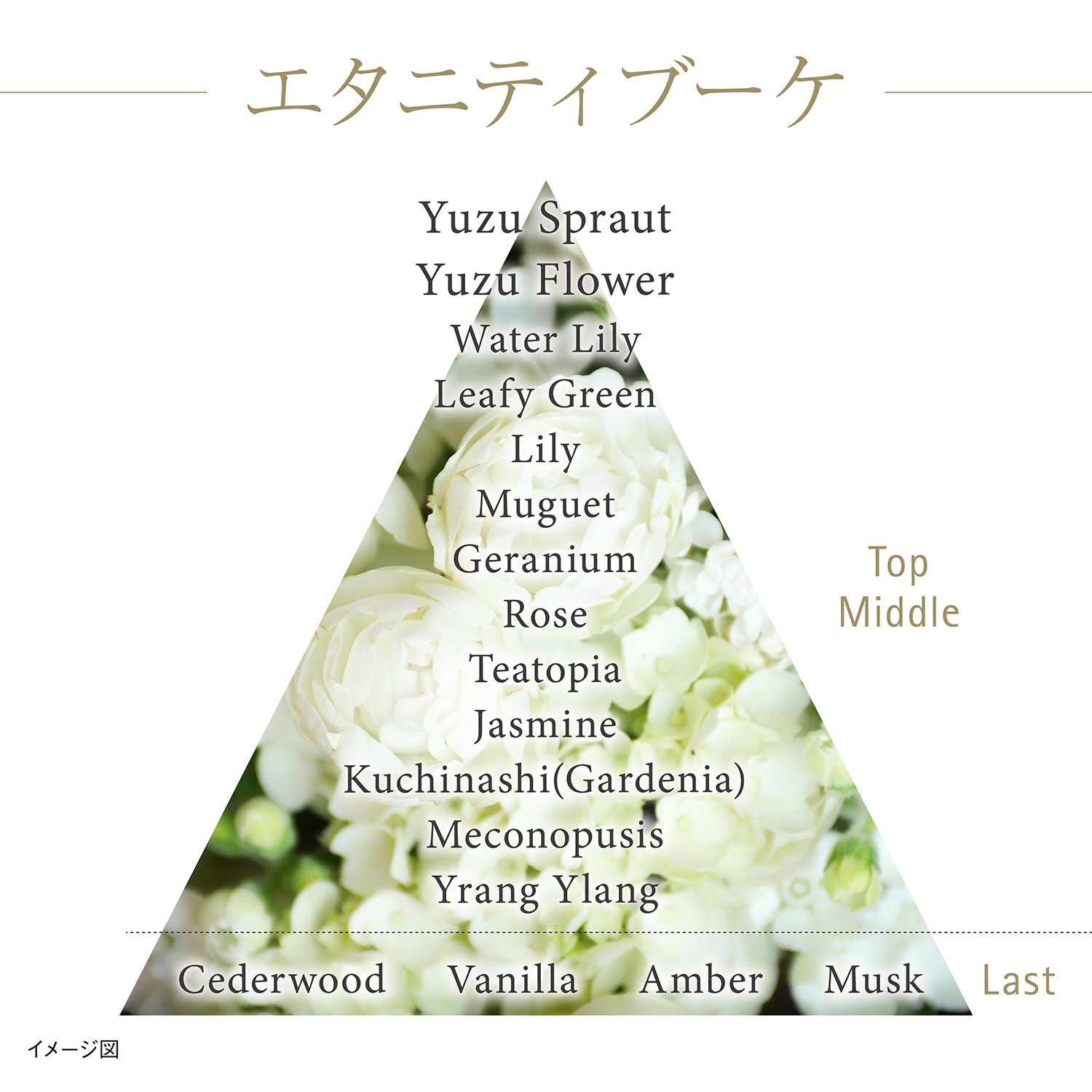 ザ エマルジョン(医薬部外品) 詳細画像 8枚中5枚目