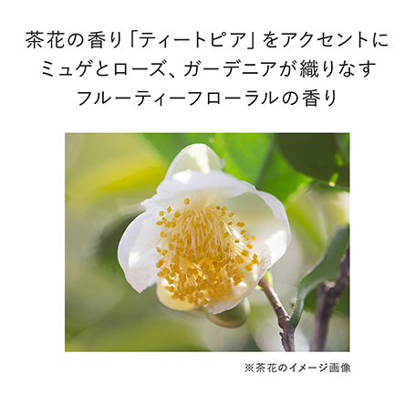 コンフォートスキン ウェア オークルB 詳細画像 7枚中6枚目