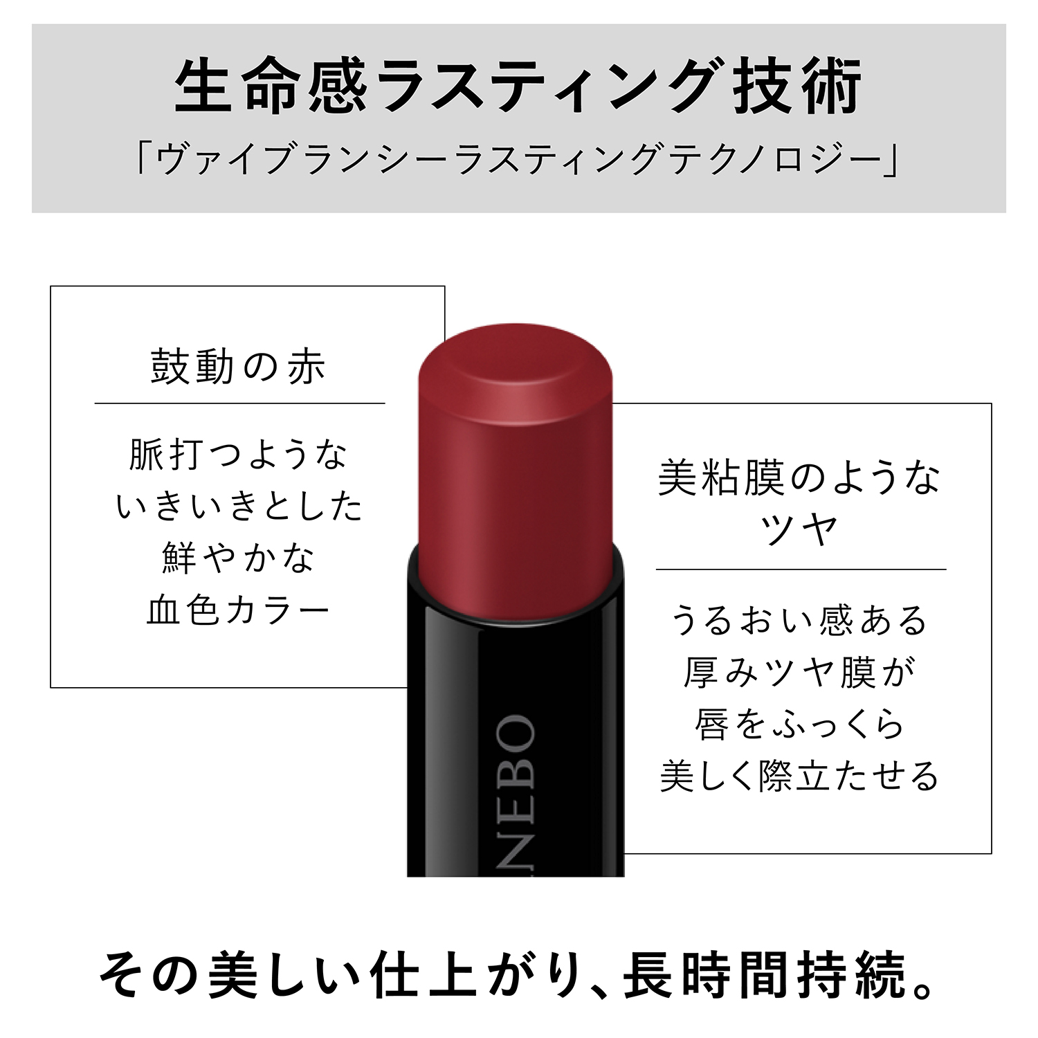 ルージュスターヴァイブラント V05 詳細画像 6枚中4枚目