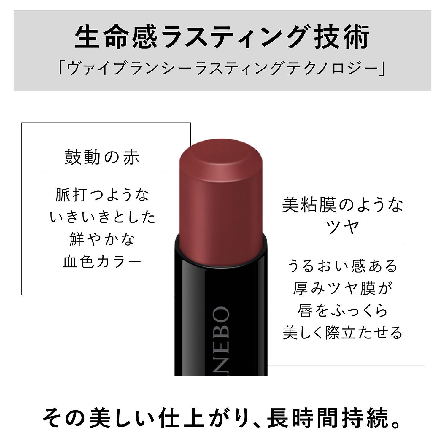 ルージュスターヴァイブラント V06 詳細画像 6枚中4枚目