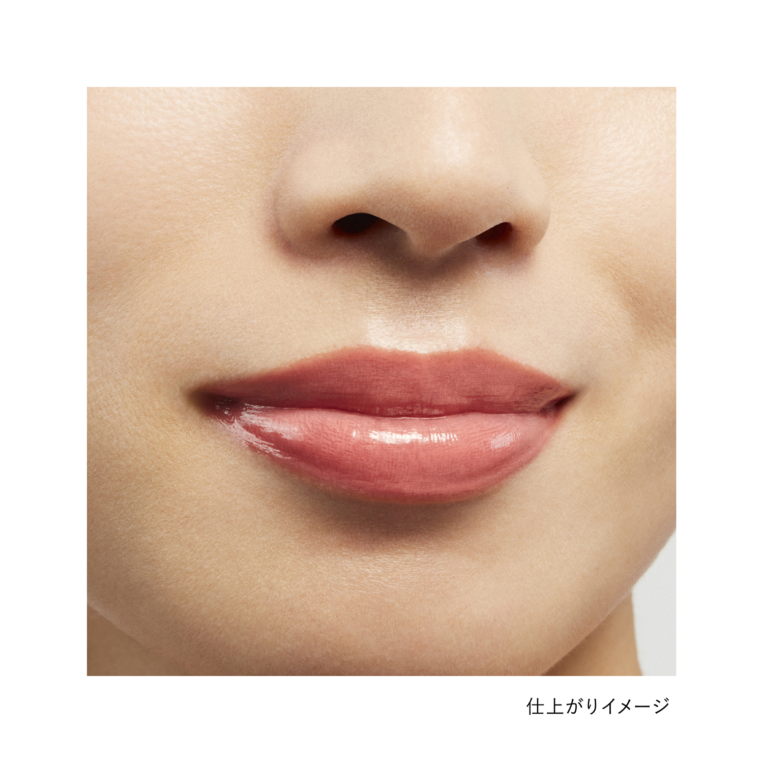 ルージュスターヴァイブラント V08 詳細画像 6枚中2枚目