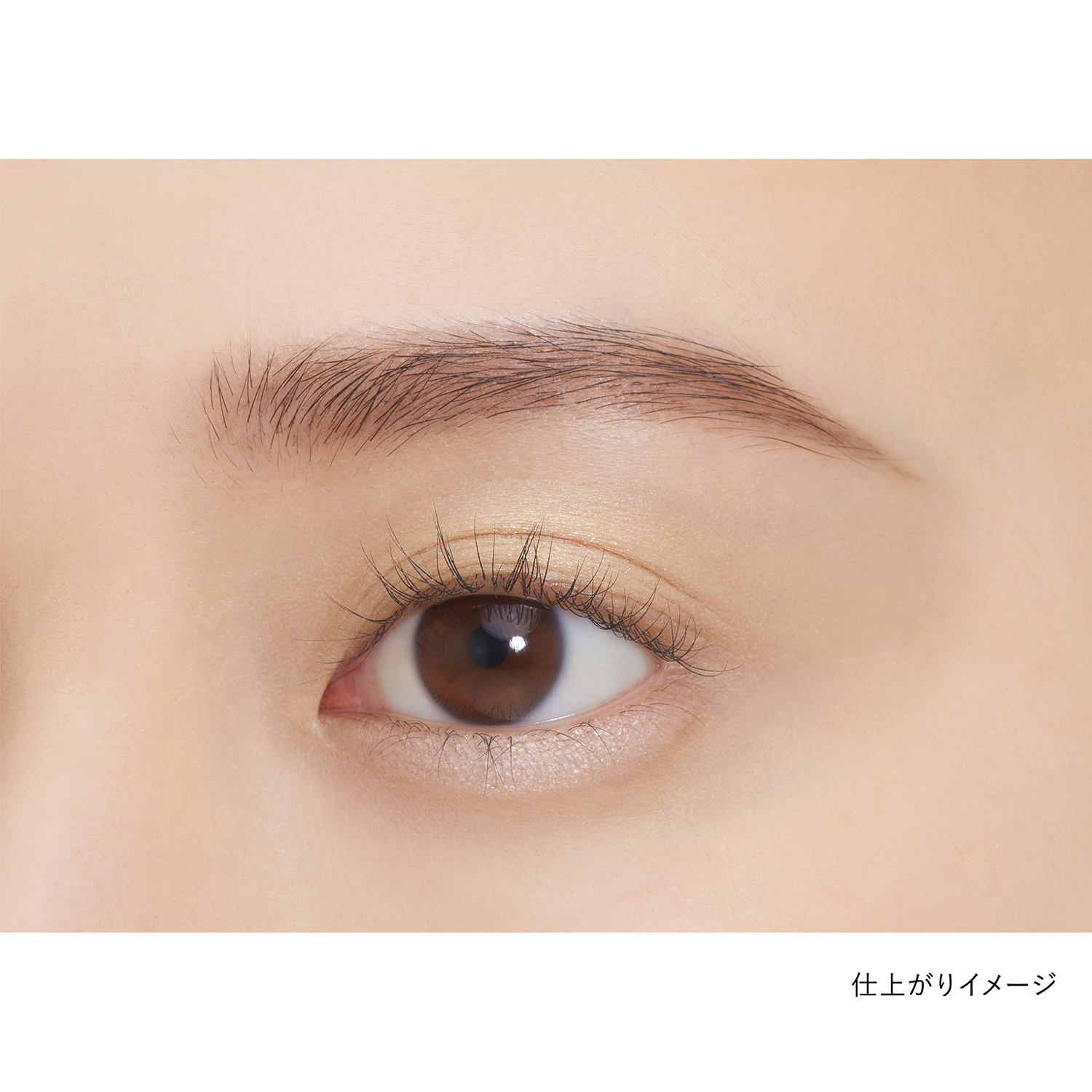 アイカラーデュオ 24 詳細画像 5枚中3枚目