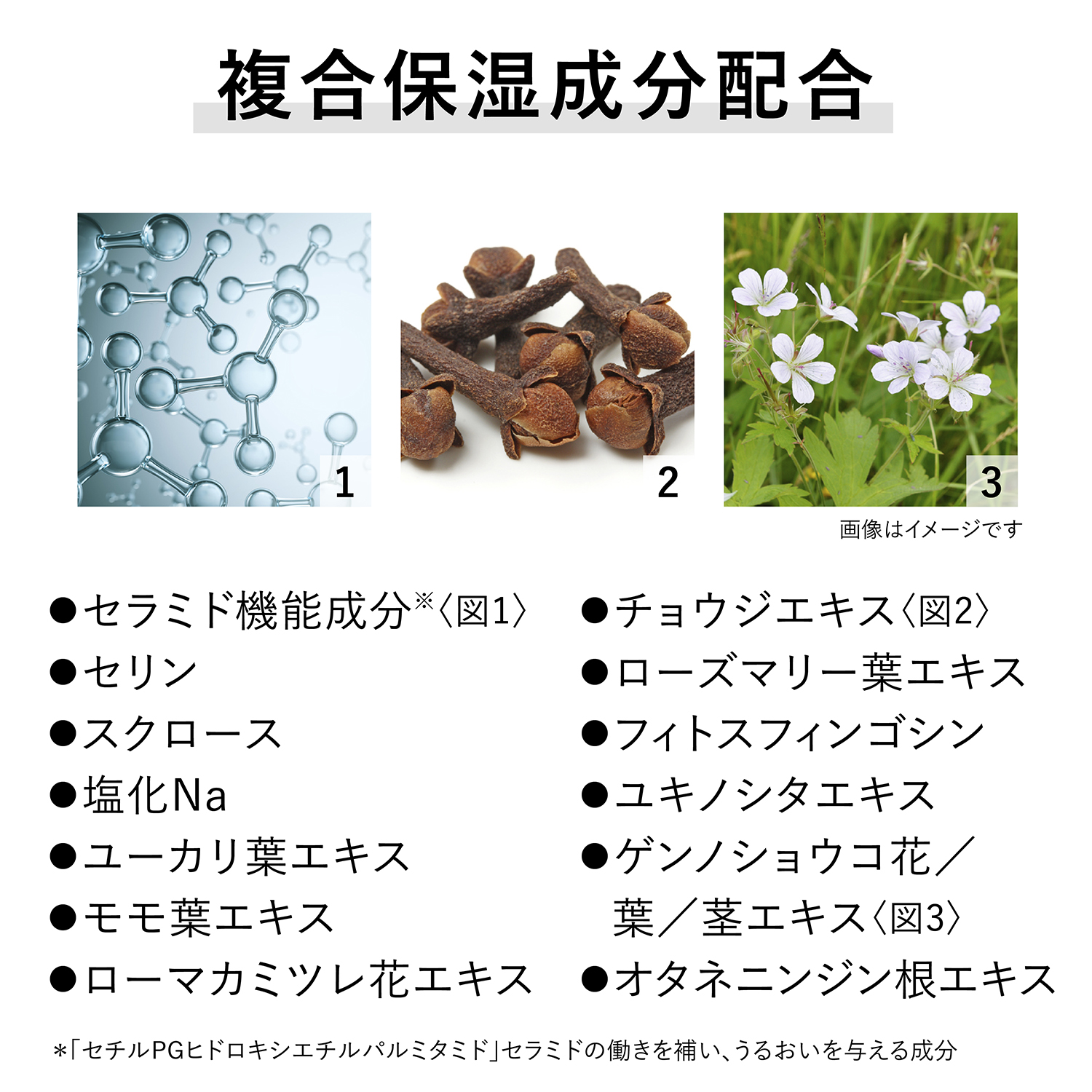 フュージョニング ソリューション 60mL 詳細画像 8枚中5枚目