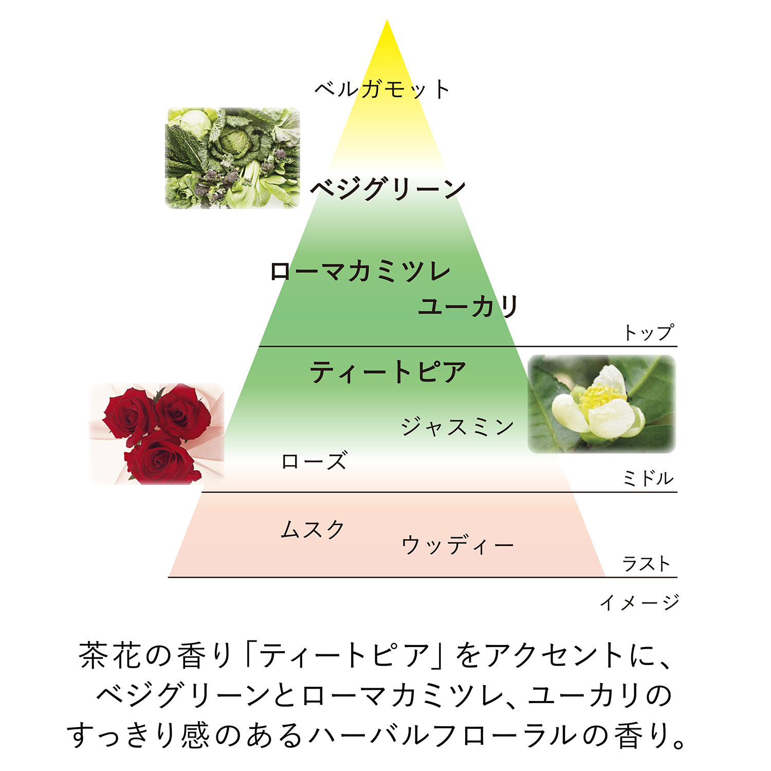 スキン ハーモナイザー 320mL 定期お届け便(50日/60日/80日よりサイクル選択) 詳細画像 7枚中6枚目