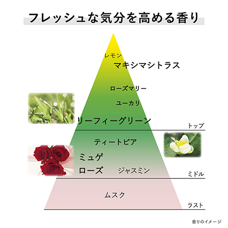 クリーム イン デイⅡ(医薬部外品) 詳細画像 6枚中5枚目