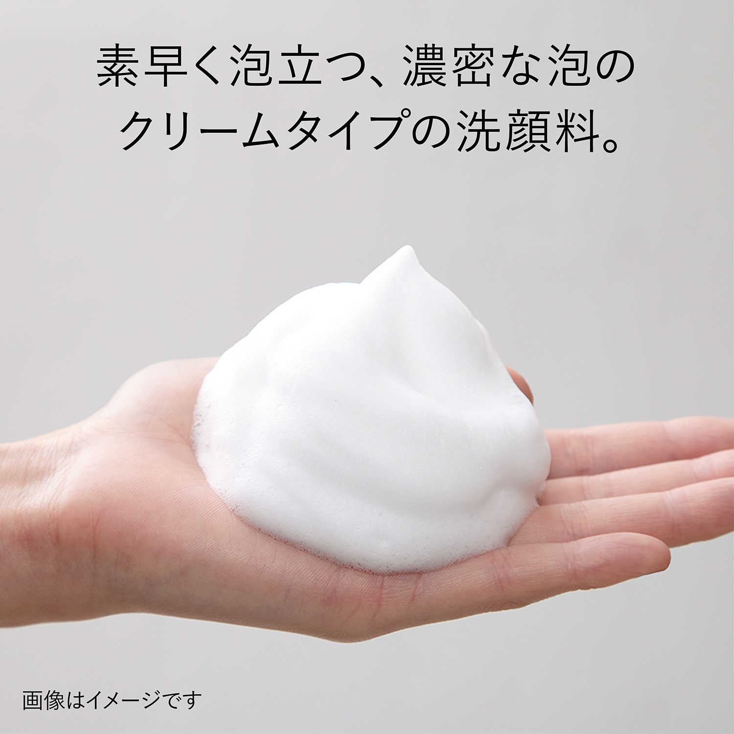 リフレッシング クリーミィ ウォッシュa 詳細画像 6枚中2枚目