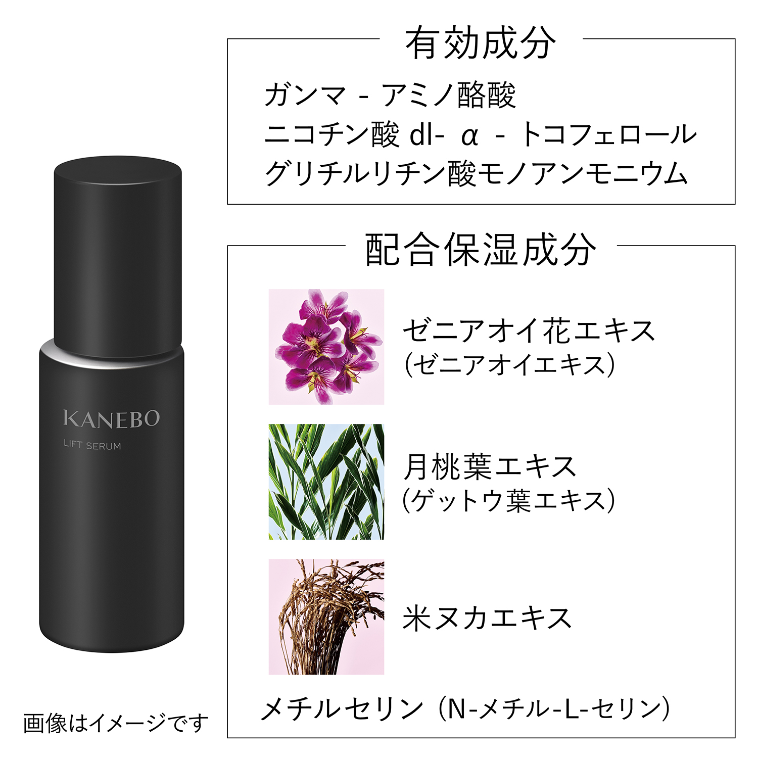 リフト セラムa  (医薬部外品) 詳細画像 7枚中4枚目