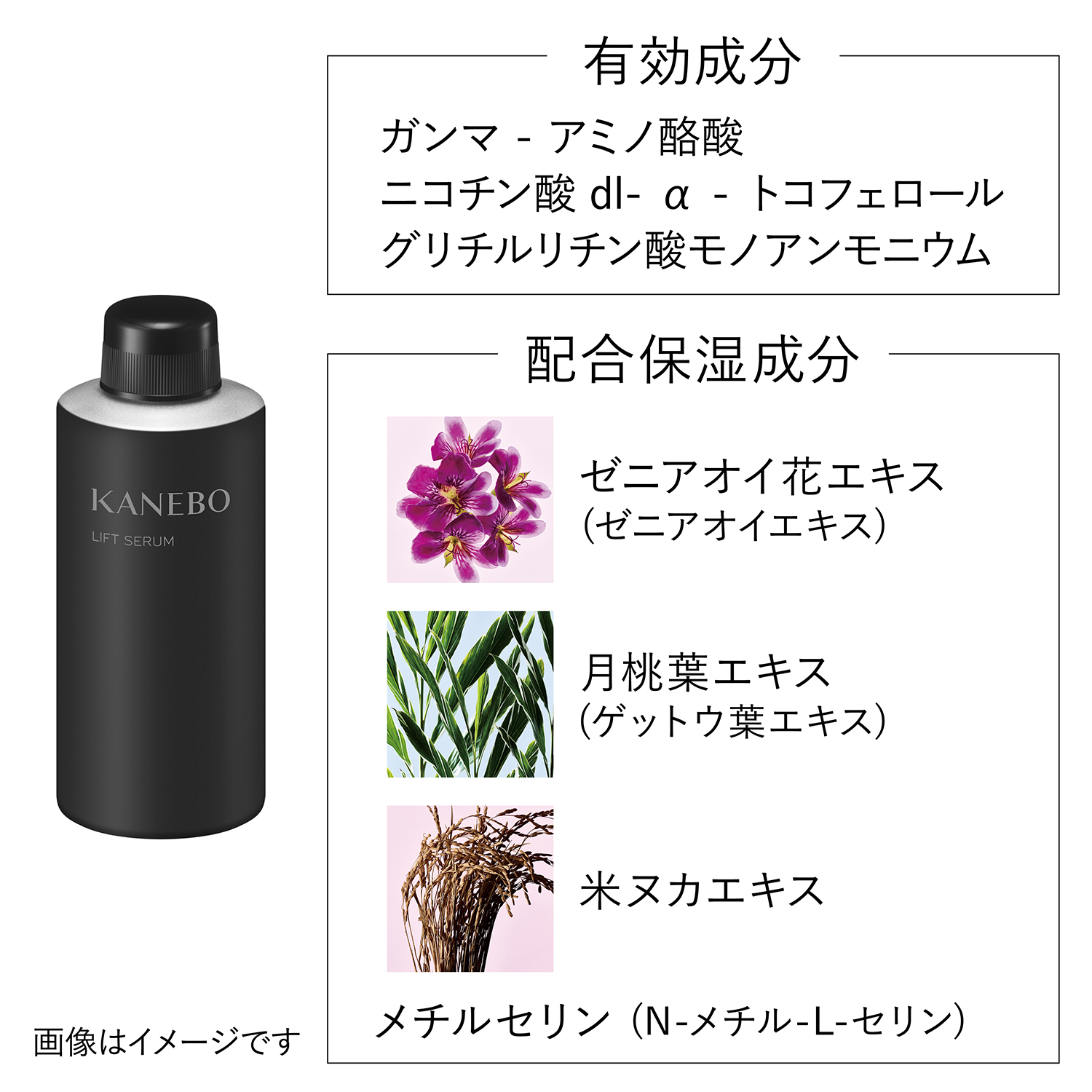 リフト セラムa(レフィル)(医薬部外品) 詳細画像 7枚中4枚目