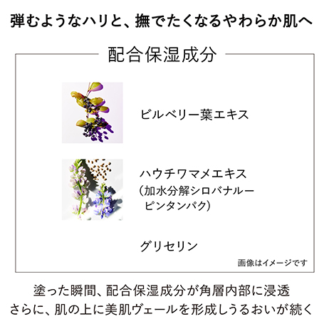 【ミニサイズ付】オン スキン エッセンス V 特別セット 詳細画像 6枚中3枚目