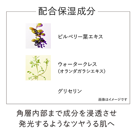 【ミニサイズ付】オン スキン エッセンス F 特別セット 詳細画像 5枚中3枚目