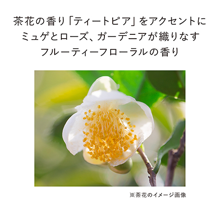 【ミニサイズ付】オン スキン エッセンス F 特別セット 詳細画像 5枚中4枚目